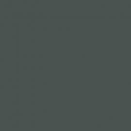 Γκρι Χρώμα αυτοκινήτου FH7EWHA-FORD