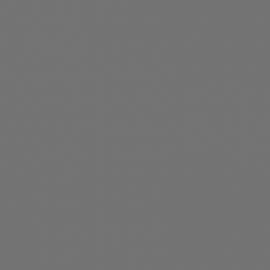 Γκρι Χρώμα αυτοκινήτου FN5AWWA-FORD