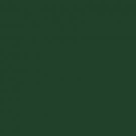 Πράσινο Χρώμα αυτοκινήτου FS-HYUNDAI