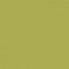 Πράσινο Χρώμα αυτοκινήτου G41-DAIHATSU