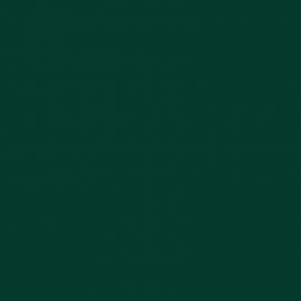 Πράσινο Χρώμα αυτοκινήτου G503P-HONDA