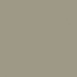 Μπεζ Χρώμα αυτοκινήτου G543P-HONDA