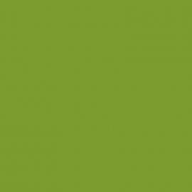 Πράσινο Χρώμα αυτοκινήτου G6D-SKODA