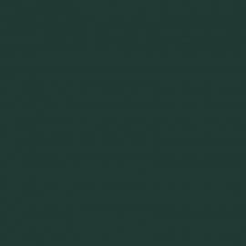 Πράσινο Χρώμα αυτοκινήτου G79P-HONDA