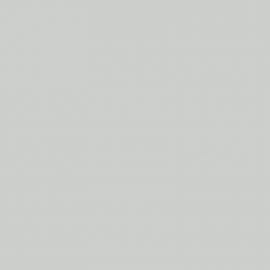 Λευκό Χρώμα αυτοκινήτου GW7-LANCIA