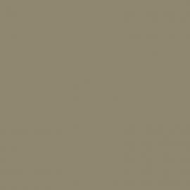 Μπεζ Χρώμα αυτοκινήτου HNL-DACIA