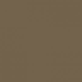 Μπεζ Χρώμα αυτοκινήτου HNP-RENAULT