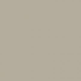 Γκρι Χρώμα αυτοκινήτου JC, 1609-FORD