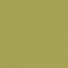 Πράσινο Χρώμα αυτοκινήτου KAR-CITROEN