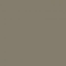 Γκρι Χρώμα αυτοκινήτου KNV-RENAULT