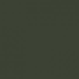 Πράσινο Χρώμα αυτοκινήτου KQZ-CITROEN