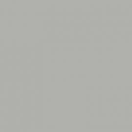 Γκρι Χρώμα αυτοκινήτου KXA-NISSAN