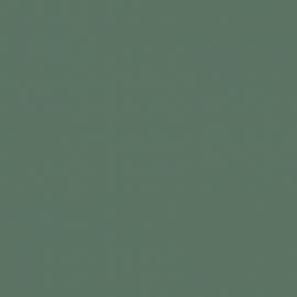 Πράσινο Χρώμα αυτοκινήτου LD6X-VAG