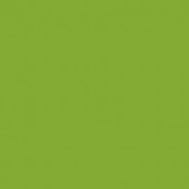 Πράσινο Χρώμα αυτοκινήτου LG6D-VAG