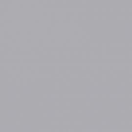 Γκρι Χρώμα αυτοκινήτου LJ0-FORD