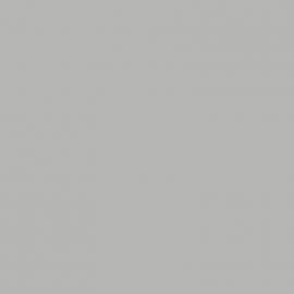 Γκρι Χρώμα αυτοκινήτου LS7N-VAG