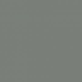 Γκρι Χρώμα αυτοκινήτου LX5X-AUDI