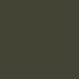 Πράσινο Χρώμα αυτοκινήτου LX6M-AUDI