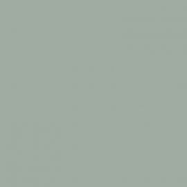 Πράσινο Χρώμα αυτοκινήτου LX6Z-AUDI