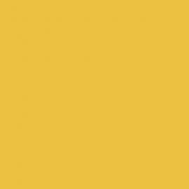 Κίτρινο Χρώμα αυτοκινήτου LY1G-AUDI