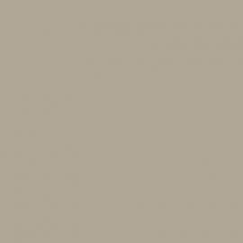 Μπεζ Χρώμα αυτοκινήτου LZ1Y-AUDI