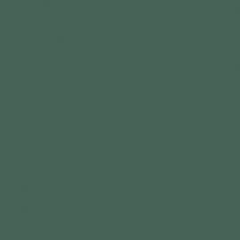 Πράσινο Χρώμα αυτοκινήτου LZ6C-AUDI