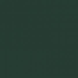 Πράσινο Χρώμα αυτοκινήτου Z6X-AUDI