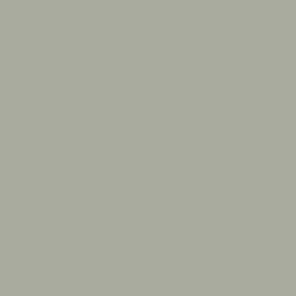 Γκρι Χρώμα αυτοκινήτου MEN-JAGUAR