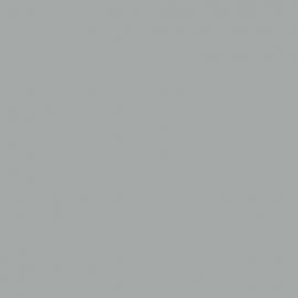 Γκρι Χρώμα αυτοκινήτου MNSCWHA-FORD