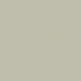 Γκρι Χρώμα αυτοκινήτου N3S-HYUNDAI