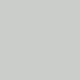 Λευκό Χρώμα αυτοκινήτου NDM-JAGUAR