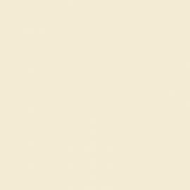 Λευκό Χρώμα αυτοκινήτου NEL-JAGUAR