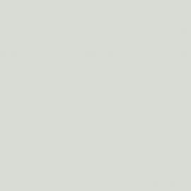 Γκρι Χρώμα αυτοκινήτου NH516M-HONDA