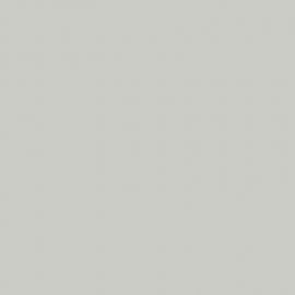 Γκρι Χρώμα αυτοκινήτου NH536M-HONDA