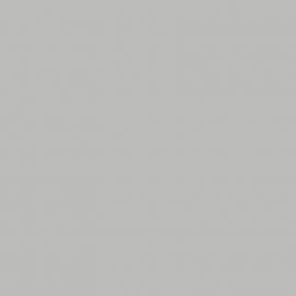 Γκρι Χρώμα αυτοκινήτου NH550M-HONDA