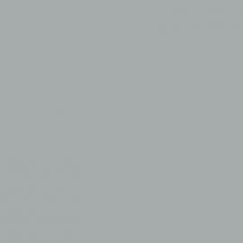 Γκρι Χρώμα αυτοκινήτου NH567M-HONDA