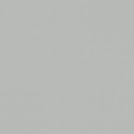 Γκρι Χρώμα αυτοκινήτου NH630M-HONDA