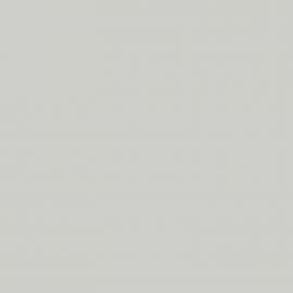 Γκρι Χρώμα αυτοκινήτου NH638M-HONDA