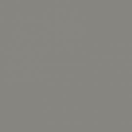 Γκρι Χρώμα αυτοκινήτου NH675M-HONDA