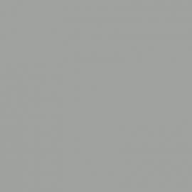 Γκρι Χρώμα αυτοκινήτου NH695M-HONDA