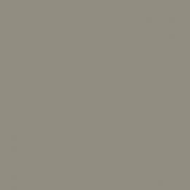 Γκρι Χρώμα αυτοκινήτου NH701M-HONDA