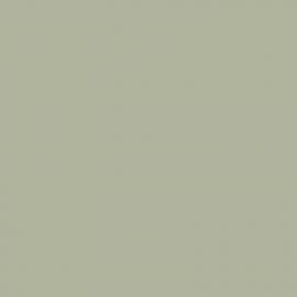 Λευκό Χρώμα αυτοκινήτου NH787M-HONDA