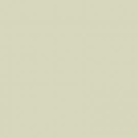 Λευκό Χρώμα αυτοκινήτου NH788P-HONDA