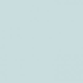 Γκρι Χρώμα αυτοκινήτου NH789M-HONDA