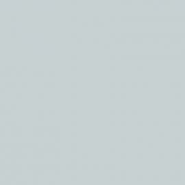 Λευκό Χρώμα αυτοκινήτου NH839P-HONDA