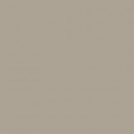 Μπεζ Χρώμα αυτοκινήτου ODM-SUZUKI