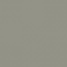 Γκρι Χρώμα αυτοκινήτου PCTE-FORD