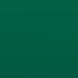 Ral 6016 Tuerkisgruen