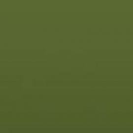 Ral 6025 Farngruen