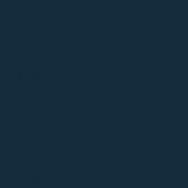 Μπλε Χρώμα αυτοκινήτου RNW-RENAULT